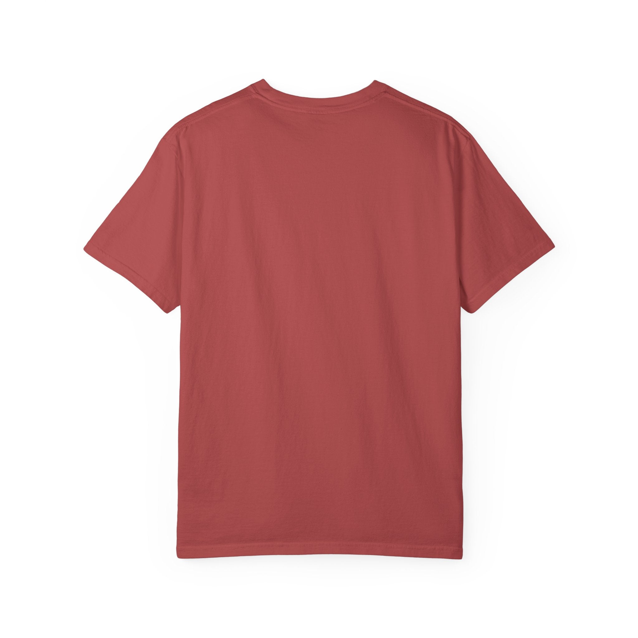 Majestic Pegasus Illustration T-shirt | Flying Horse Graphic Tee