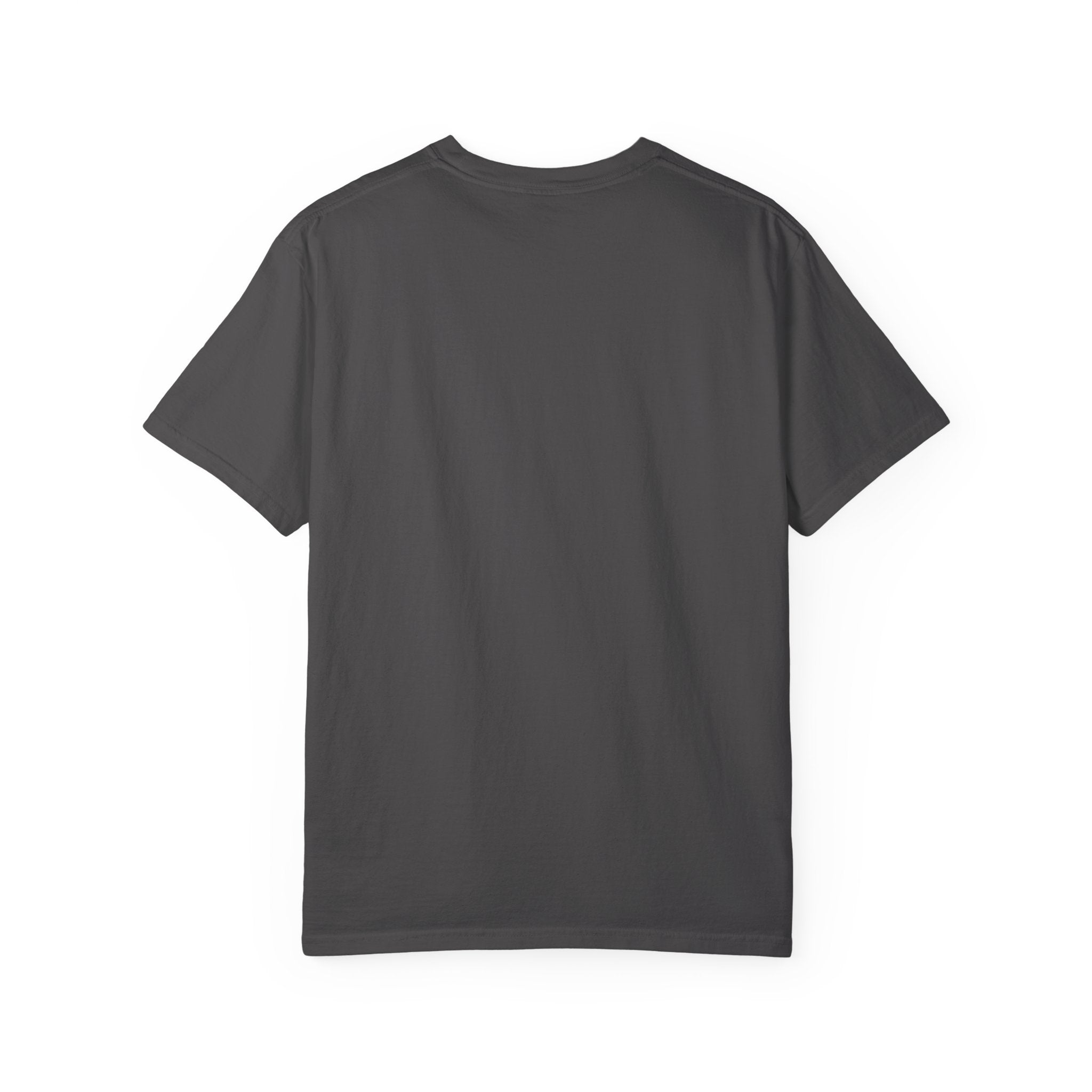 Majestic Pegasus Illustration T-shirt | Flying Horse Graphic Tee